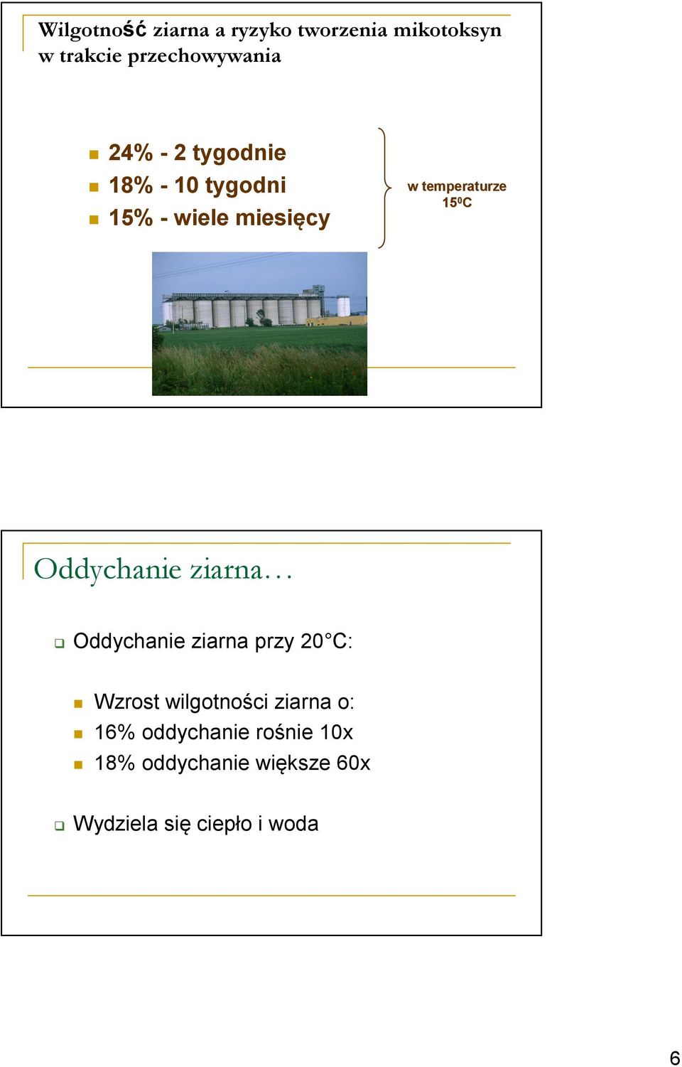 Oddychanie ziarna Oddychanie ziarna przy 20 C: Wzrost wilgotności ziarna o: