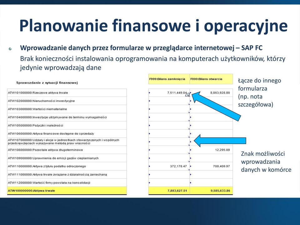 oprogramowania na komputerach użytkowników, którzy jedynie wprowadzają dane