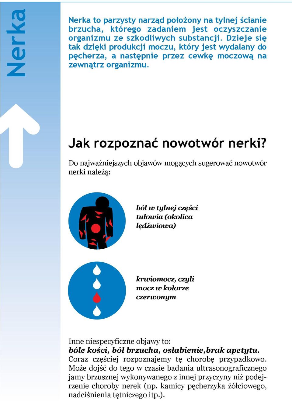 Do najważniejszych objawów mogących sugerować nowotwór nerki należą: ból w tylnej części tułowia (okolica lędźwiowa) krwiomocz, czyli mocz w kolorze czerwonym Inne niespecyficzne objawy to: bóle