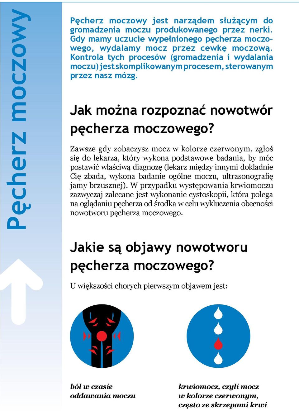 Zawsze gdy zobaczysz mocz w kolorze czerwonym, zgłoś się do lekarza, który wykona podstawowe badania, by móc postawić właściwą diagnozę (lekarz między innymi dokładnie Cię zbada, wykona badanie