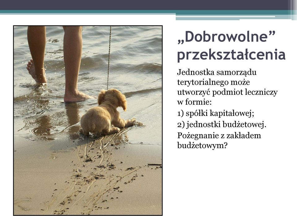 w formie: 1) spółki kapitałowej; 2) jednostki