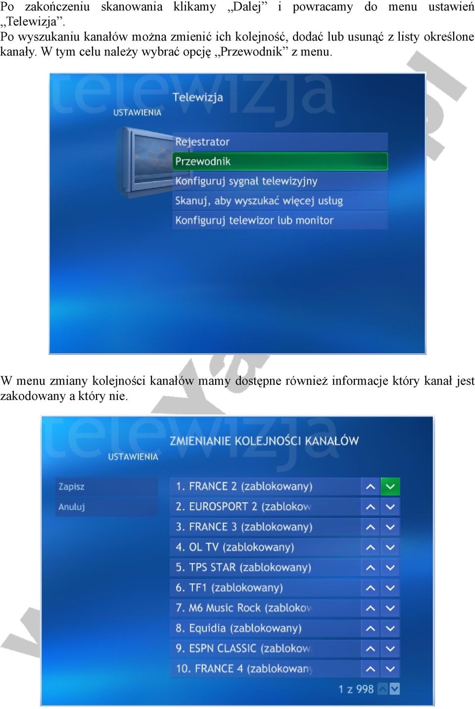 określone kanały. W tym celu należy wybrać opcję Przewodnik z menu.