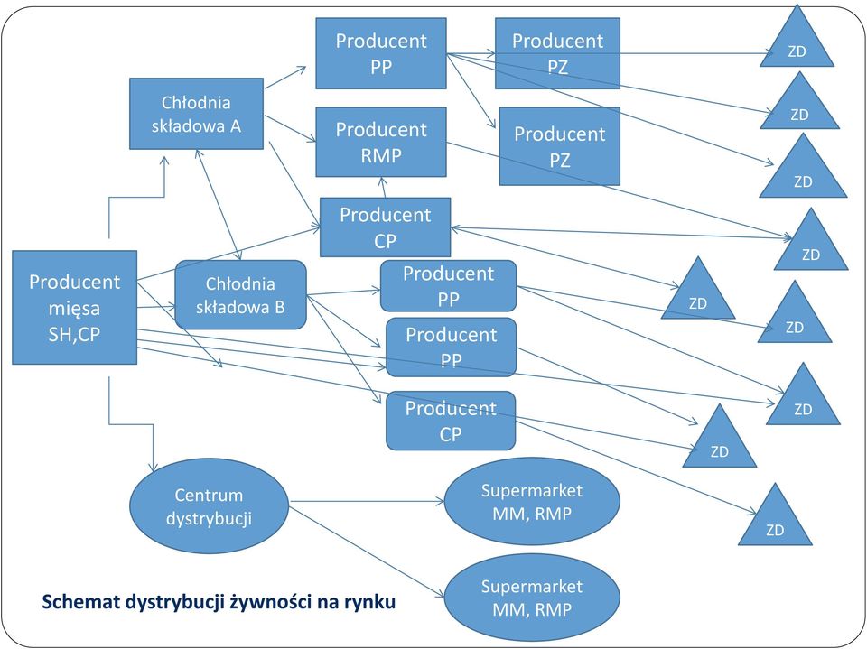 CP Producent PP Producent PP Producent CP Centrum dystrybucji