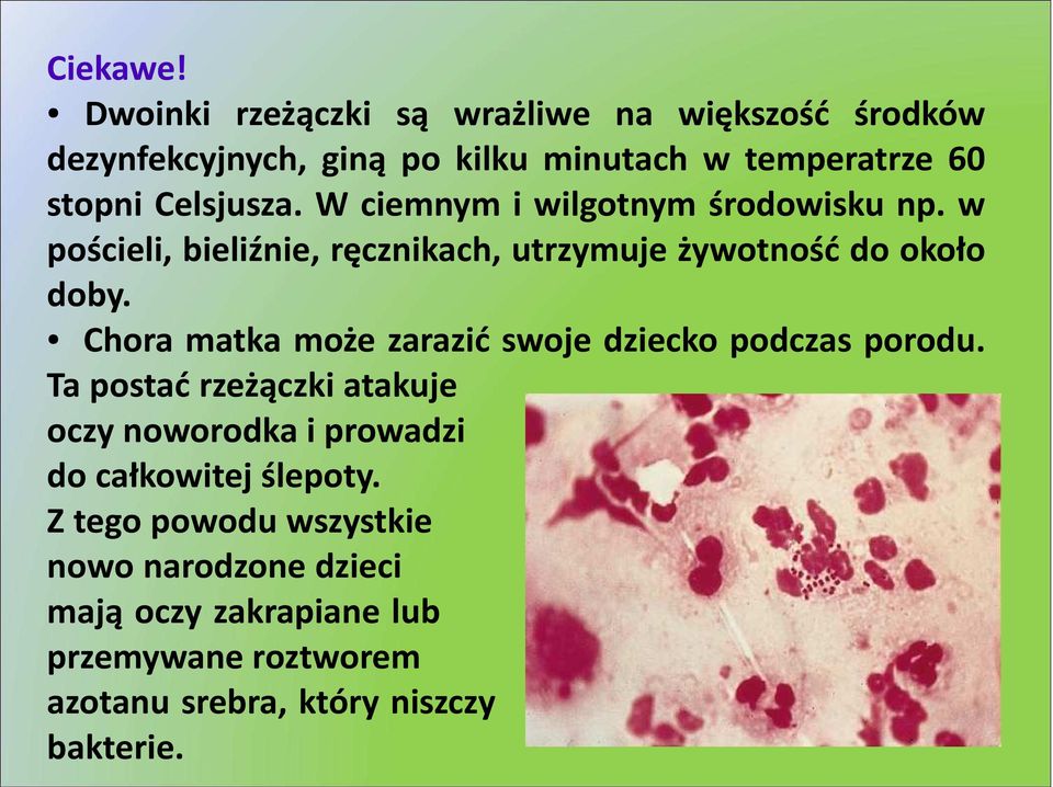 W ciemnym i wilgotnym środowisku np. w pościeli, bieliźnie, ręcznikach, utrzymuje żywotność do około doby.