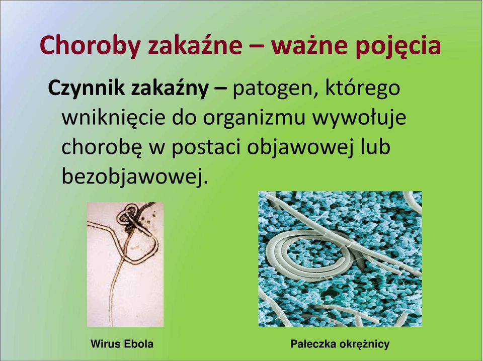 organizmu wywołuje chorobę w postaci
