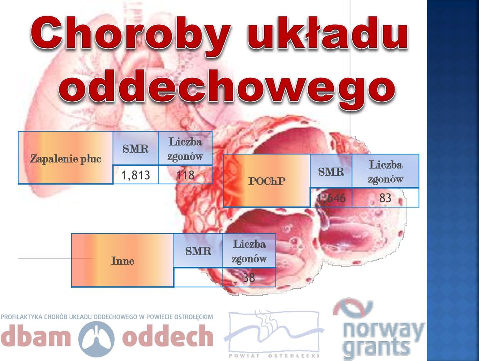 SMR Liczba zgonów 1,646
