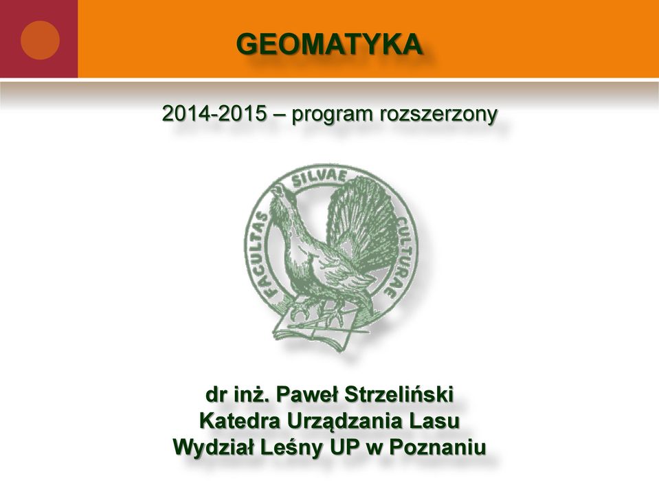Paweł Strzeliński Katedra