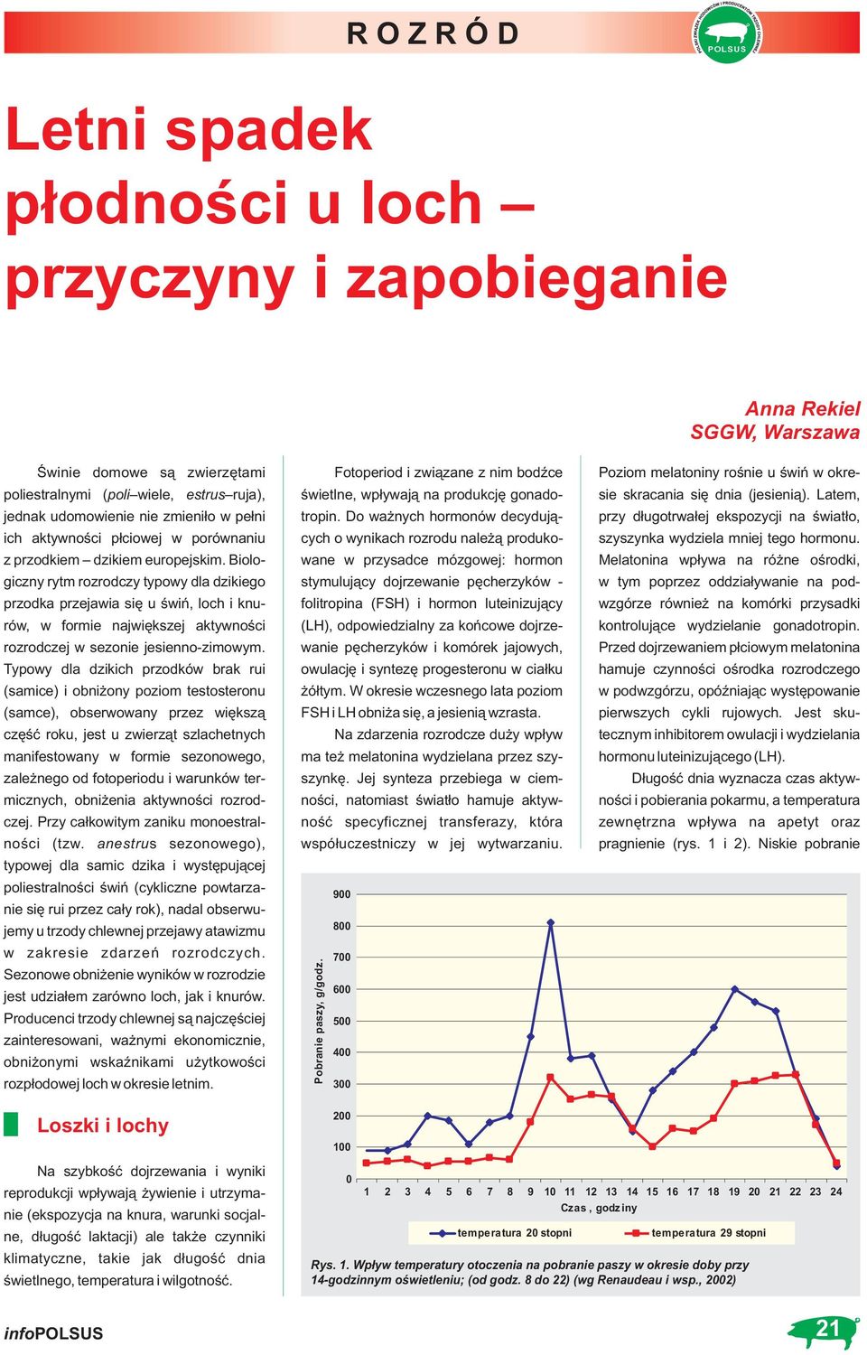 Bilgiczny rytm rzrdczy typwy dla dzikieg przdka przejawia się u świń, lch i knurów, w frmie największej aktywnści rzrdczej w seznie jesienn-zimwym.