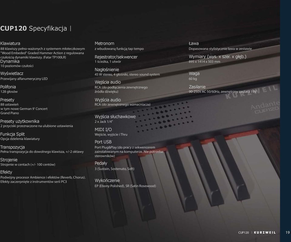 przyciski przeznaczone na ulubione ustawienia Funkcja Split Opcja dzielenia klawiatury Transpozycja Pełna transpozycja do dowolnego klawisza, +/-2 oktawy Strojenie Strojenie w centach (+/- 100