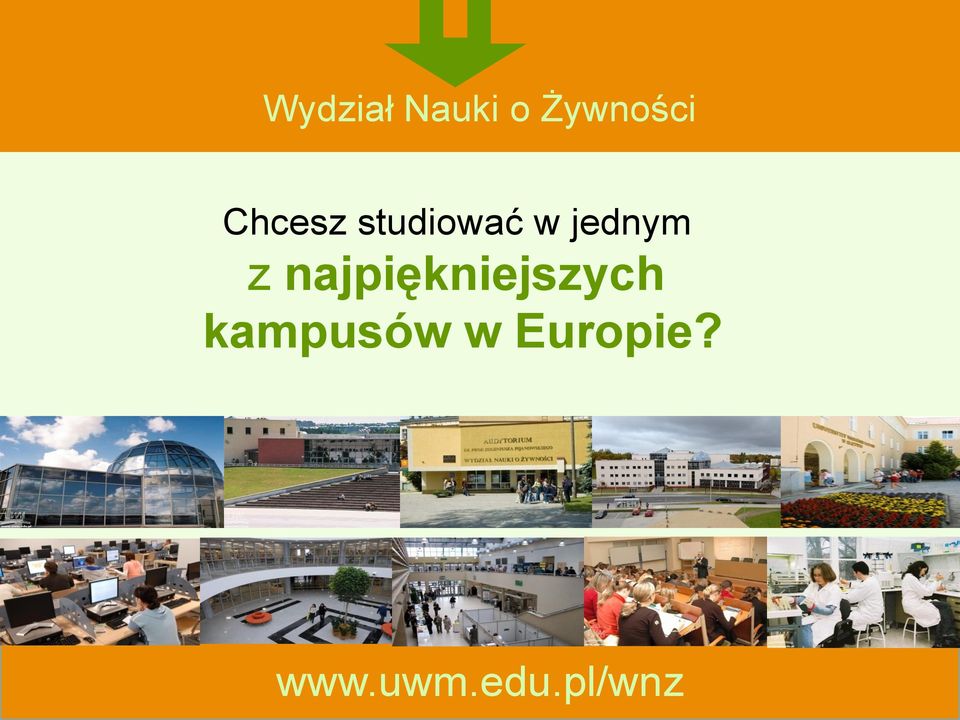 z najpiękniejszych