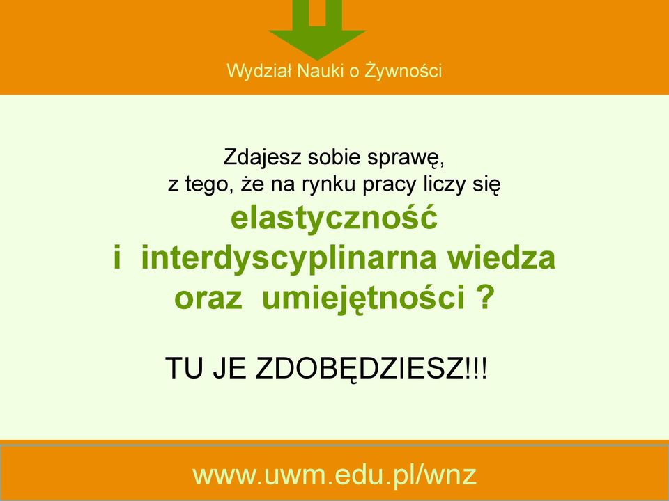 interdyscyplinarna wiedza oraz umiejętności?