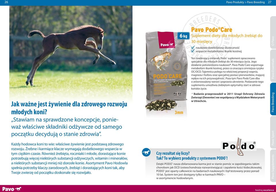 Źrebne i karmiące klacze wymagają dodatkowego wsparcia w tym ciężkim czasie.