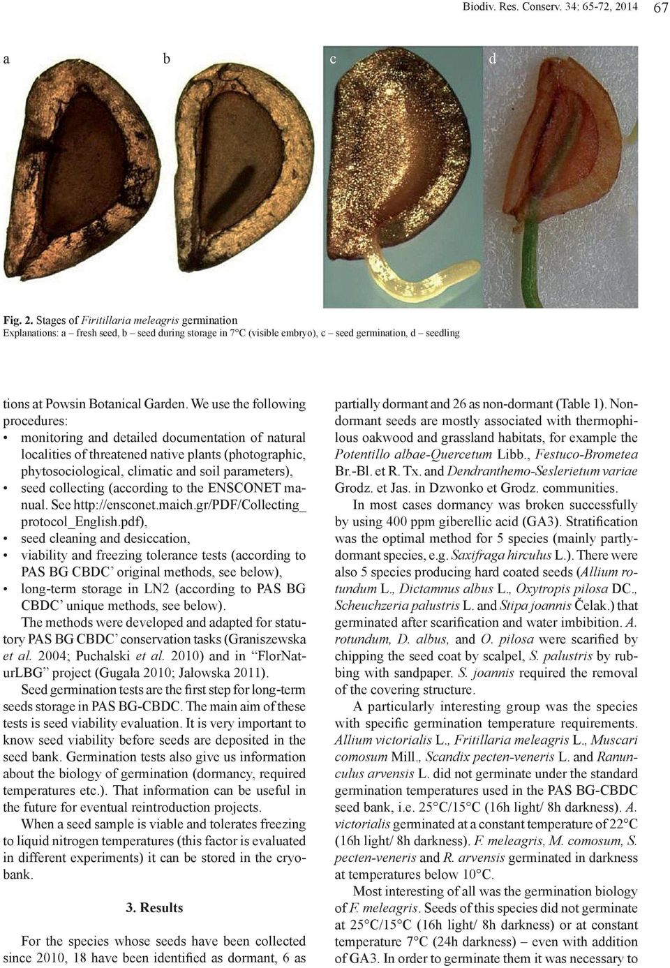 Stages of Firitillaria meleagris germination Explanations: a fresh seed, b seed during storage in 7 C (visible embryo), c seed germination, d seedling tions at Powsin Botanical Garden.
