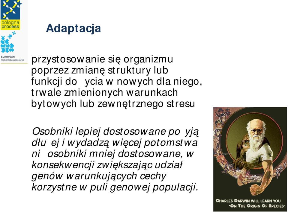 lepiej dostosowane pożyją dłużej i wydadzą więcej potomstwa niż osobniki mniej