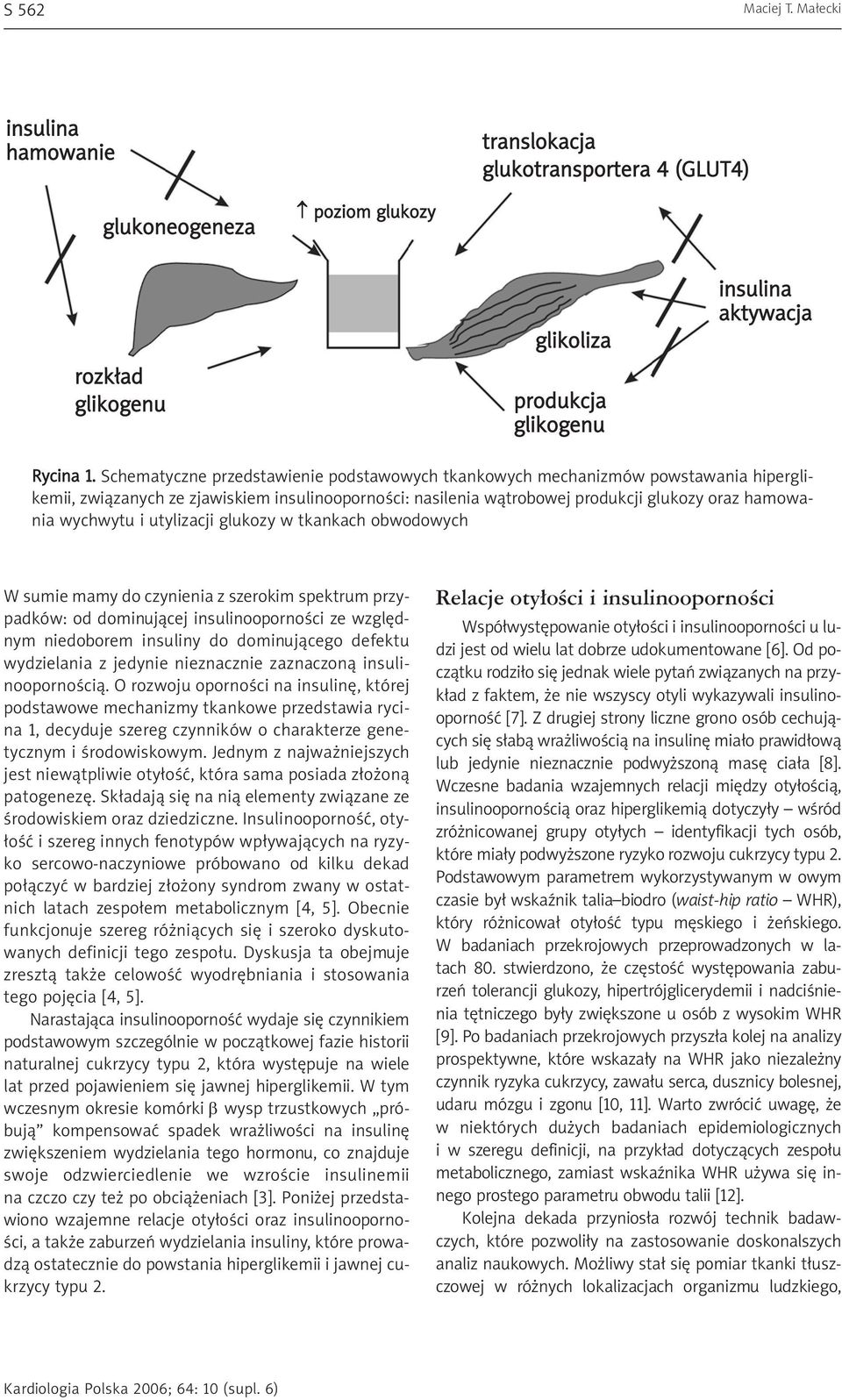 utylizacji glukozy w tkankach obwodowych W sumie mamy do czynienia z szerokim spektrum przypadków: od dominującej insulinooporności ze względnym niedoborem insuliny do dominującego defektu