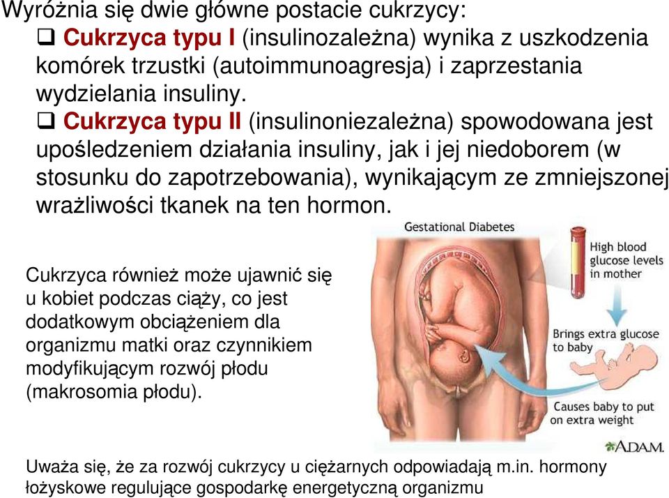 Cukrzyca typu II (insulinoniezaleŝna) spowodowana jest upośledzeniem działania insuliny, jak i jej niedoborem (w stosunku do zapotrzebowania), wynikającym ze