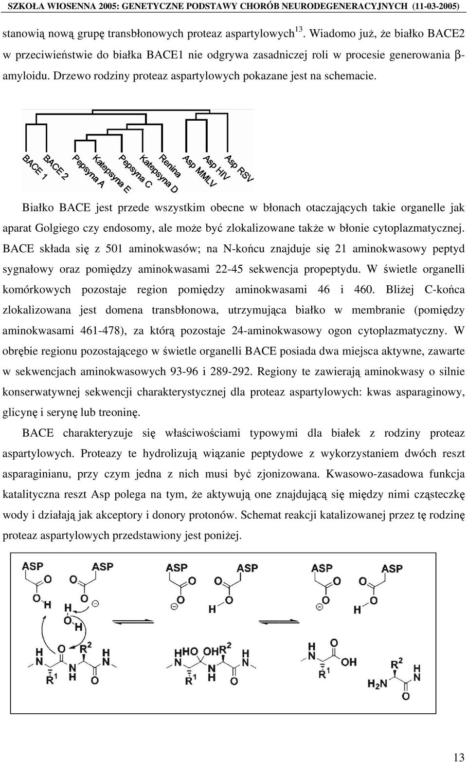 Białko BACE jest przede wszystkim obecne w błonach otaczających takie organelle jak aparat Golgiego czy endosomy, ale może być zlokalizowane także w błonie cytoplazmatycznej.