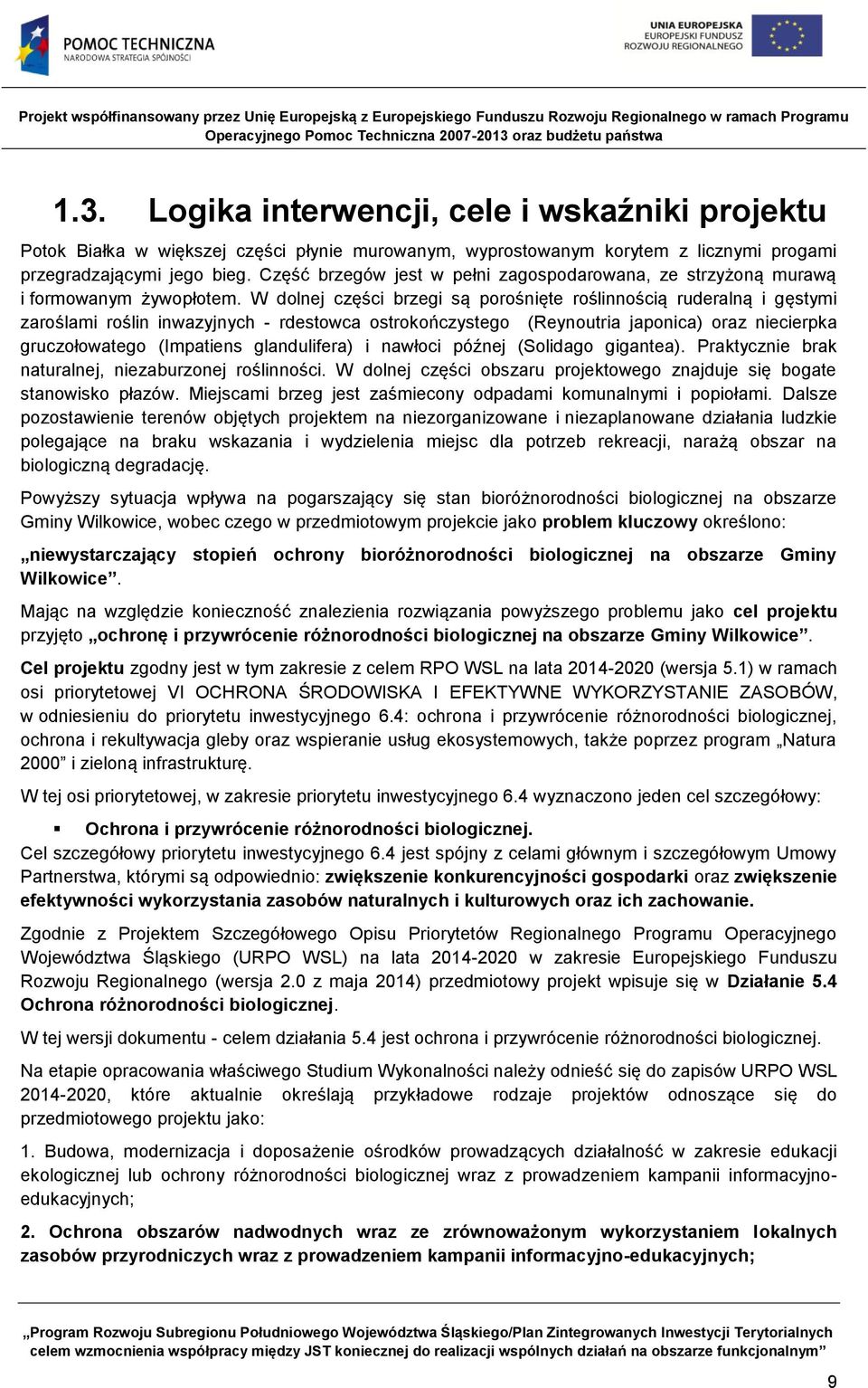 W dolnej części brzegi są porośnięte roślinnością ruderalną i gęstymi zaroślami roślin inwazyjnych - rdestowca ostrokończystego (Reynoutria japonica) oraz niecierpka gruczołowatego (Impatiens
