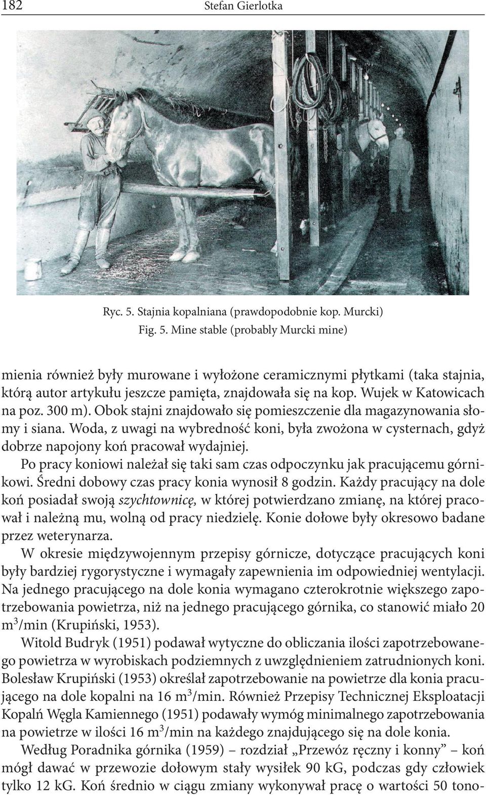 Mine stable (probably Murcki mine) mienia również były murowane i wyłożone ceramicznymi płytkami (taka stajnia, którą autor artykułu jeszcze pamięta, znajdowała się na kop. Wujek w Katowicach na poz.