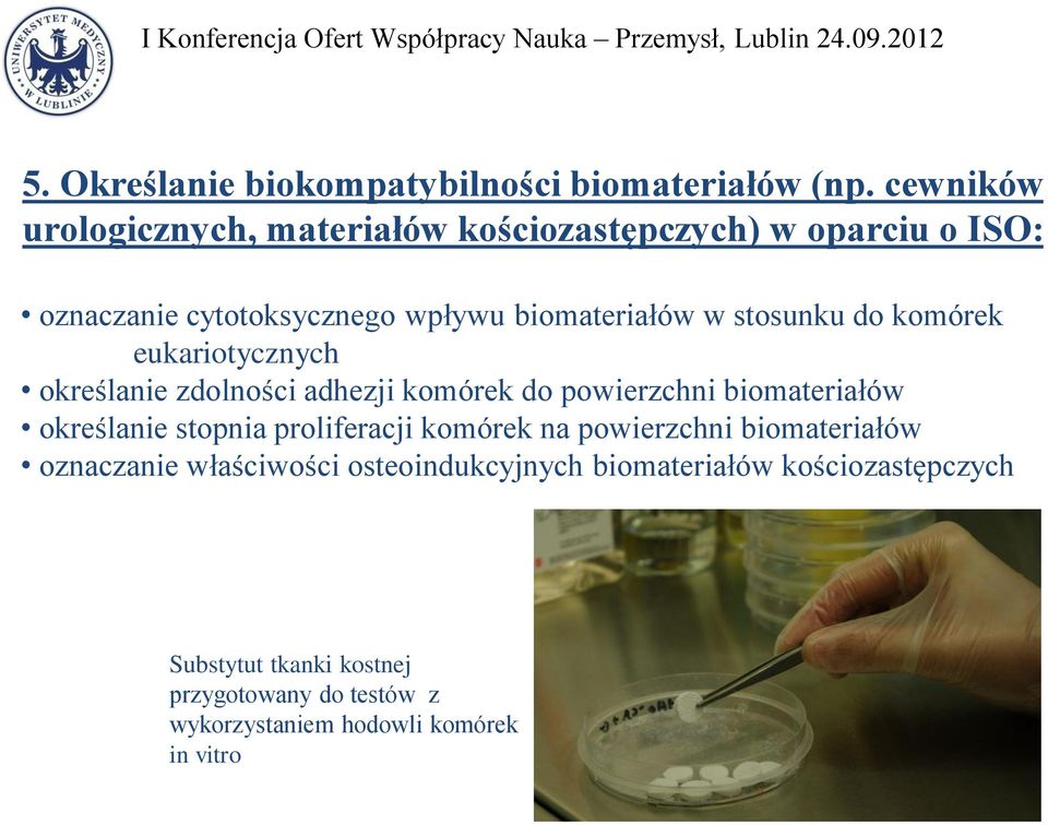 eukariotycznych określanie zdolności adhezji komórek do powierzchni biomateriałów określanie stopnia proliferacji komórek na powierzchni