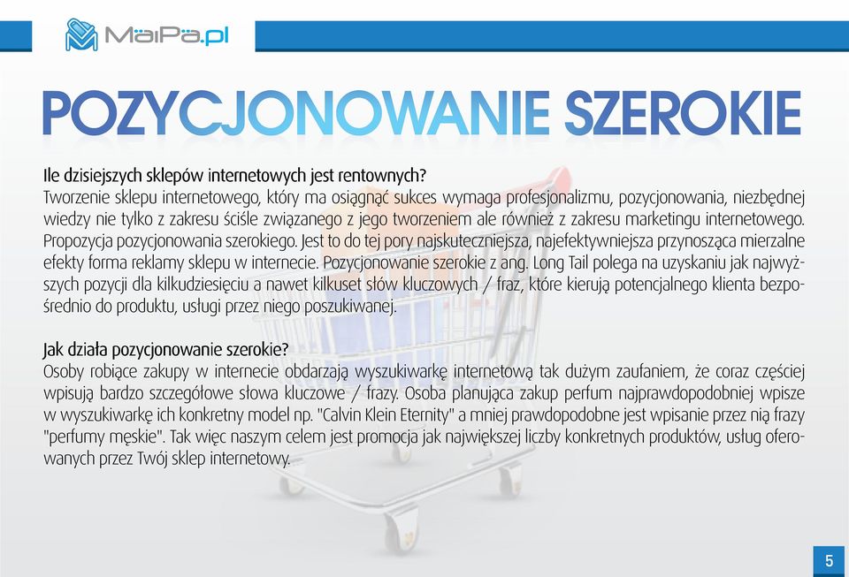 marketingu internetowego. Propozycja pozycjonowania szerokiego. Jest to do tej pory najskuteczniejsza, najefektywniejsza przynosząca mierzalne efekty forma reklamy sklepu w internecie.