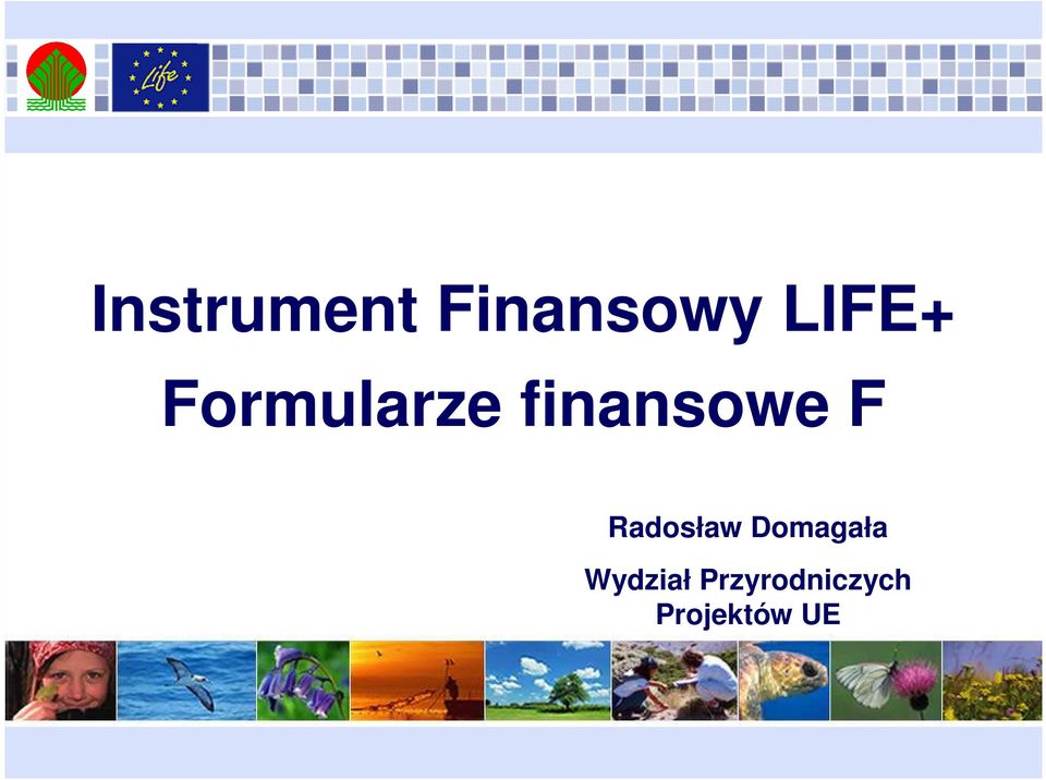 finansowe F Radosław