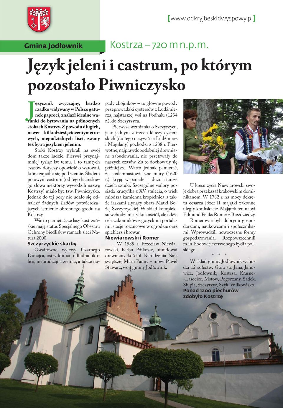 n.p.m. Język jeleni i castrum, po którym pozostało Piwniczysko Języcznik zwyczajny, bardzo rzadko widywany w Polsce gatunek paproci, znalazł idealne warunki do bytowania na północnych stokach Kostrzy.