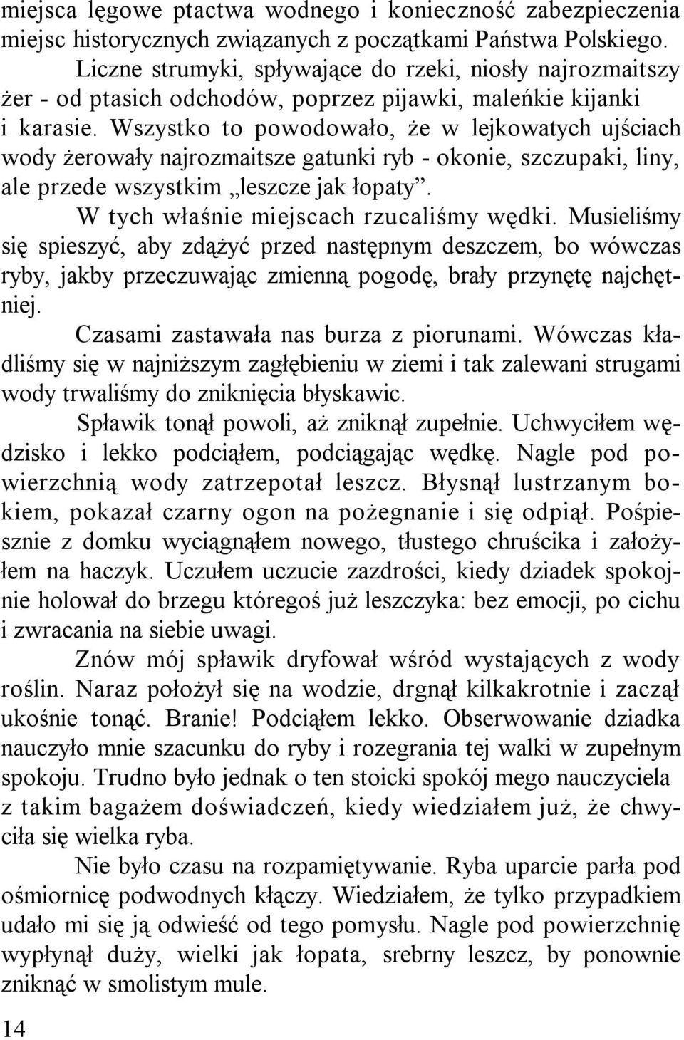 Wszystko to powodowało, że w lejkowatych ujściach wody żerowały najrozmaitsze gatunki ryb - okonie, szczupaki, liny, ale przede wszystkim leszcze jak łopaty. W tych właśnie miejscach rzucaliśmy wędki.