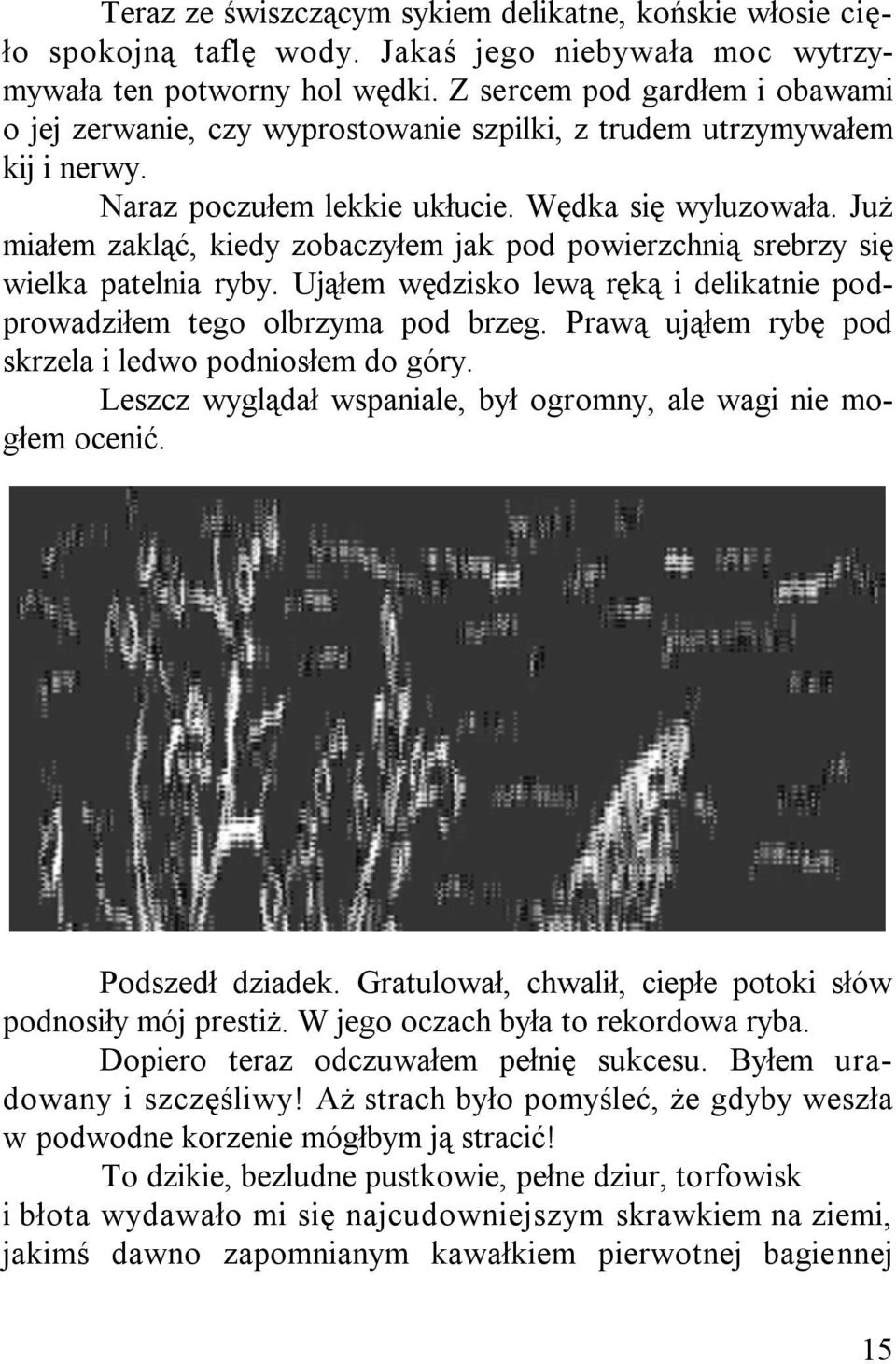 Już miałem zakląć, kiedy zobaczyłem jak pod powierzchnią srebrzy się wielka patelnia ryby. Ująłem wędzisko lewą ręką i delikatnie podprowadziłem tego olbrzyma pod brzeg.