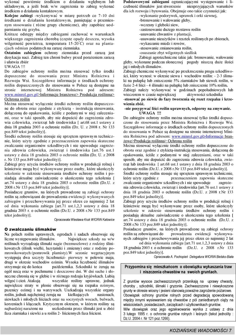 Krótsze odstępy między zabiegami zachować w warunkach większego zagrożenia chorobą (częste opady deszczu, wysoka wilgotność powietrza, temperatura 15-20 C) oraz na plantacjach odmian podatnych na