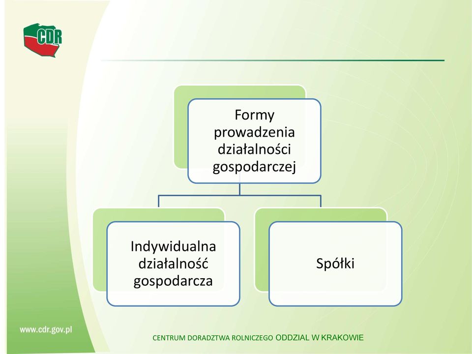 działalność gospodarcza Spółki