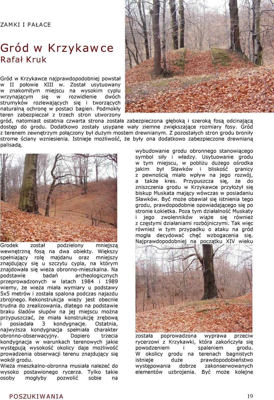 Podmokły teren zabezpieczał z trzech stron utworzony gród, natomiast ostatnia czwarta strona została zabezpieczona głęboką i szeroką fosą odcinającą dostęp do grodu.