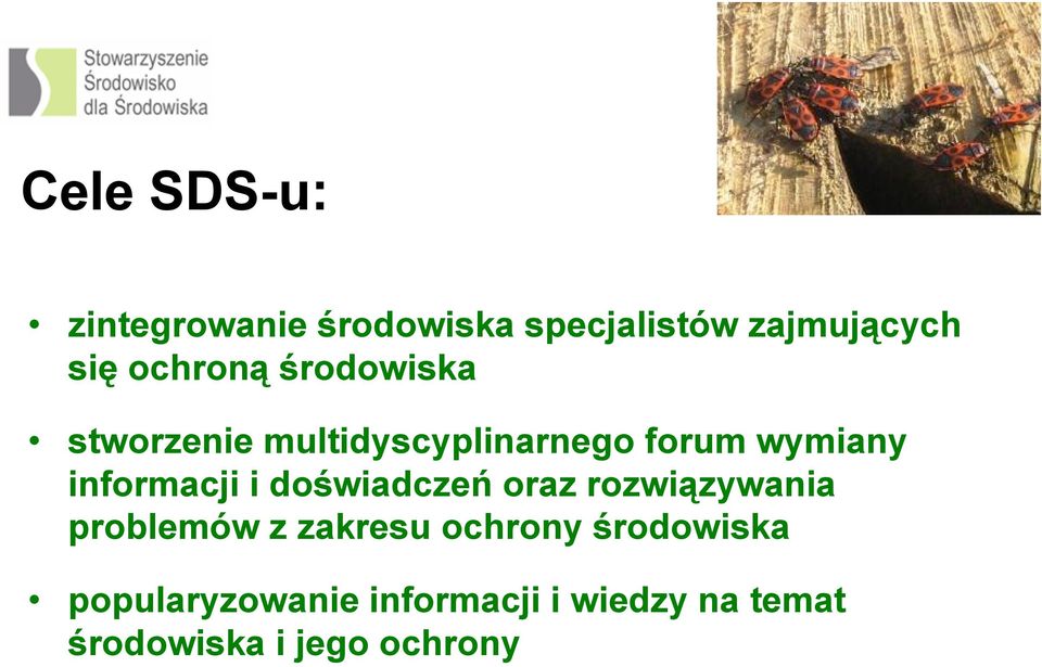 informacji i doświadczeń oraz rozwiązywania problemów z zakresu