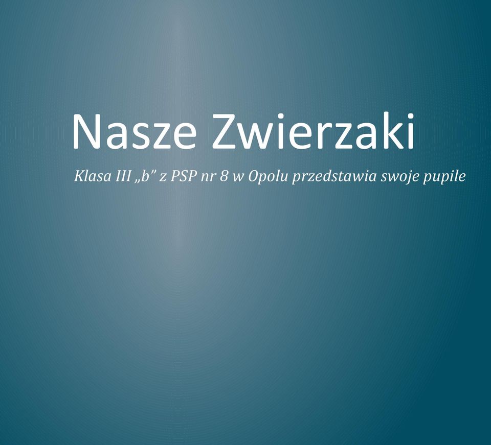 nr 8 w Opolu