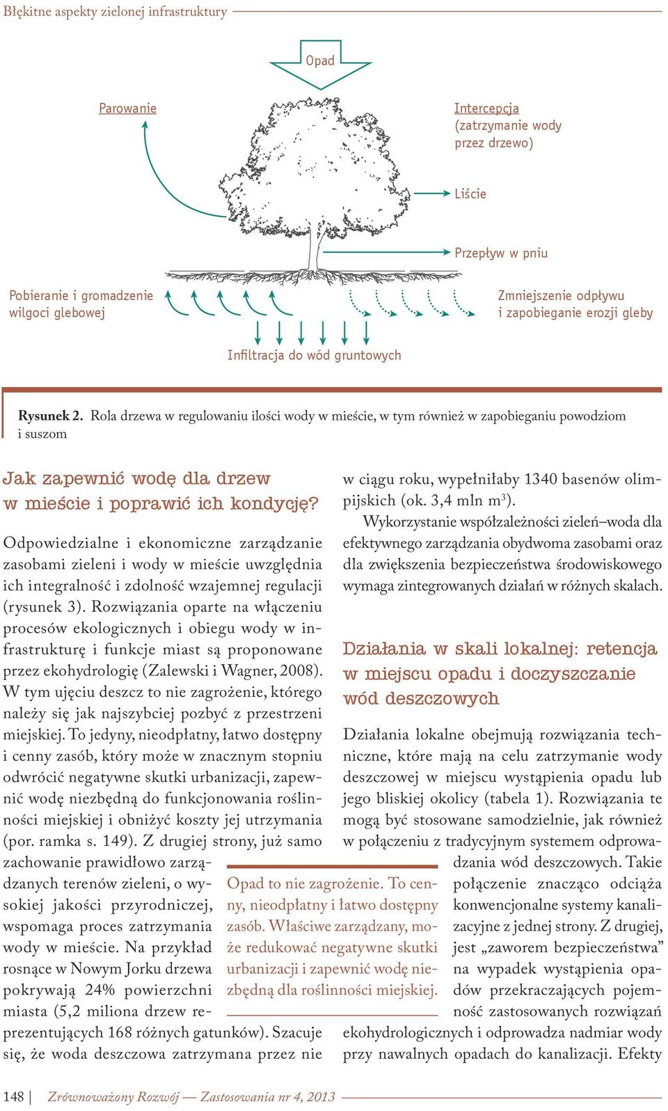 Rola drzewa w regulowaniu ilości wody w mieście, w tym również w zapobieganiu powodziom i suszom Jak zapewnić wodę dla drzew w mieście i poprawić ich kondycję?