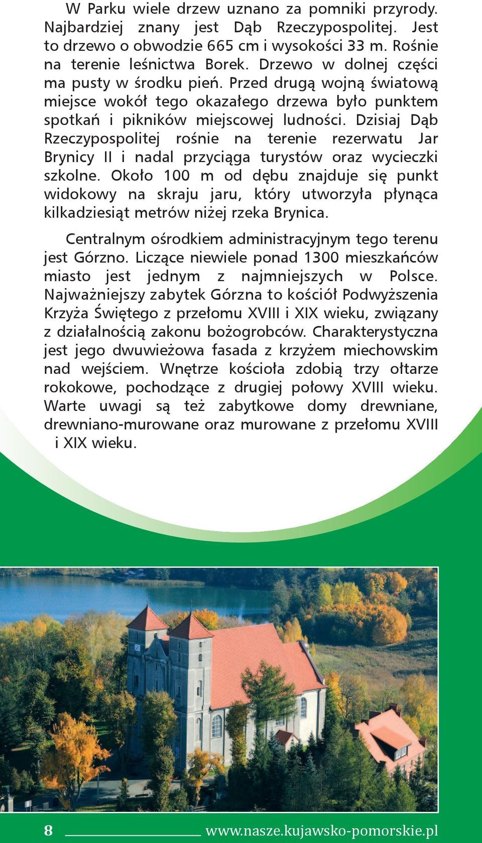 Dzisiaj Dąb Rzeczypospolitej rośnie na terenie rezerwatu Jar Brynicy II i nadal przyciąga turystów oraz wycieczki szkolne.