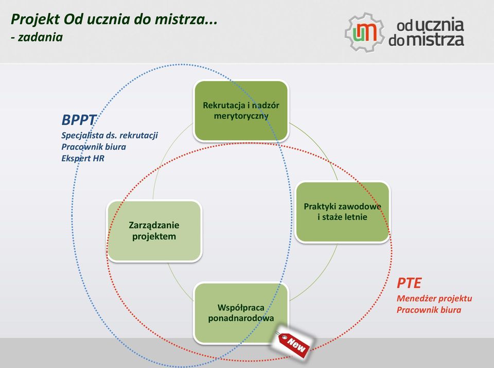 nadzór merytoryczny Zarządzanie projektem Praktyki