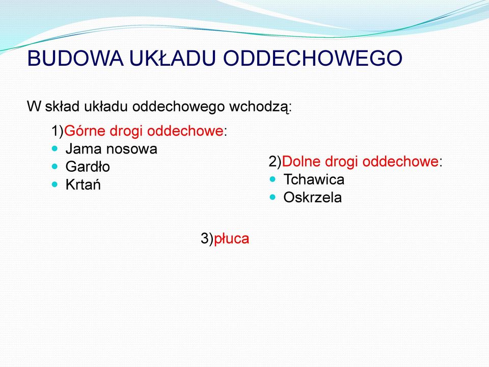 oddechowe: Jama nosowa Gardło Krtań