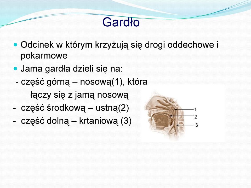 - część górną nosową(1), która łączy się z jamą