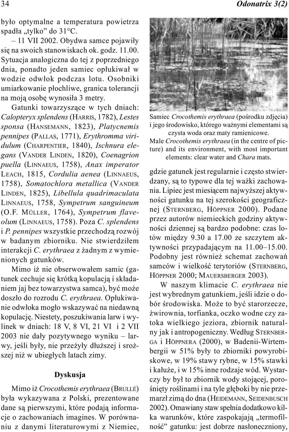 Gatunki towarzysz¹ce w tych dniach: Calopteryx splendens (HARRIS, 1782), Lestes sponsa (HANSEMANN, 1823), Platycnemis pennipes (PALLAS, 1771), Erythromma viridulum (CHARPENTIER, 1840), Ischnura