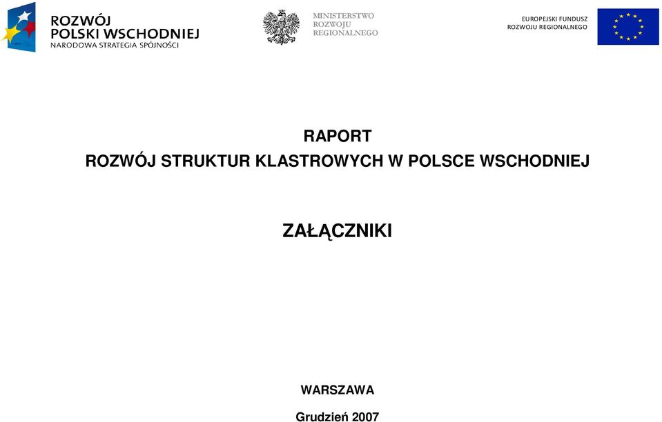 RAPORT ROZWÓJ STRUKTUR KLASTROWYCH W