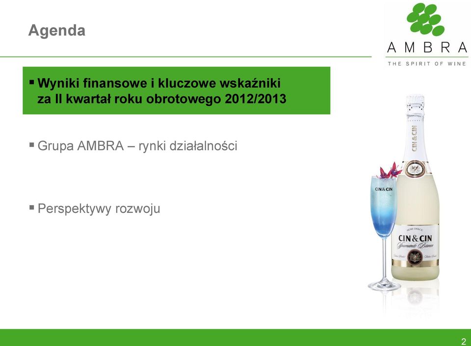 obrotowego 2012/2013 Grupa AMBRA
