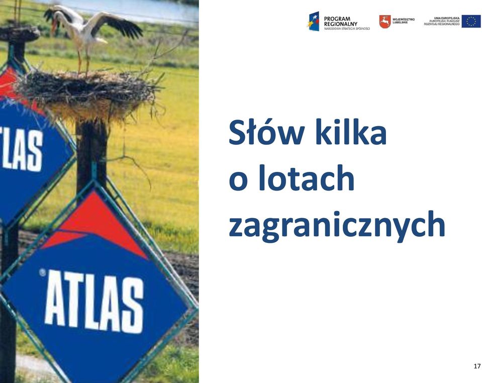 lotach