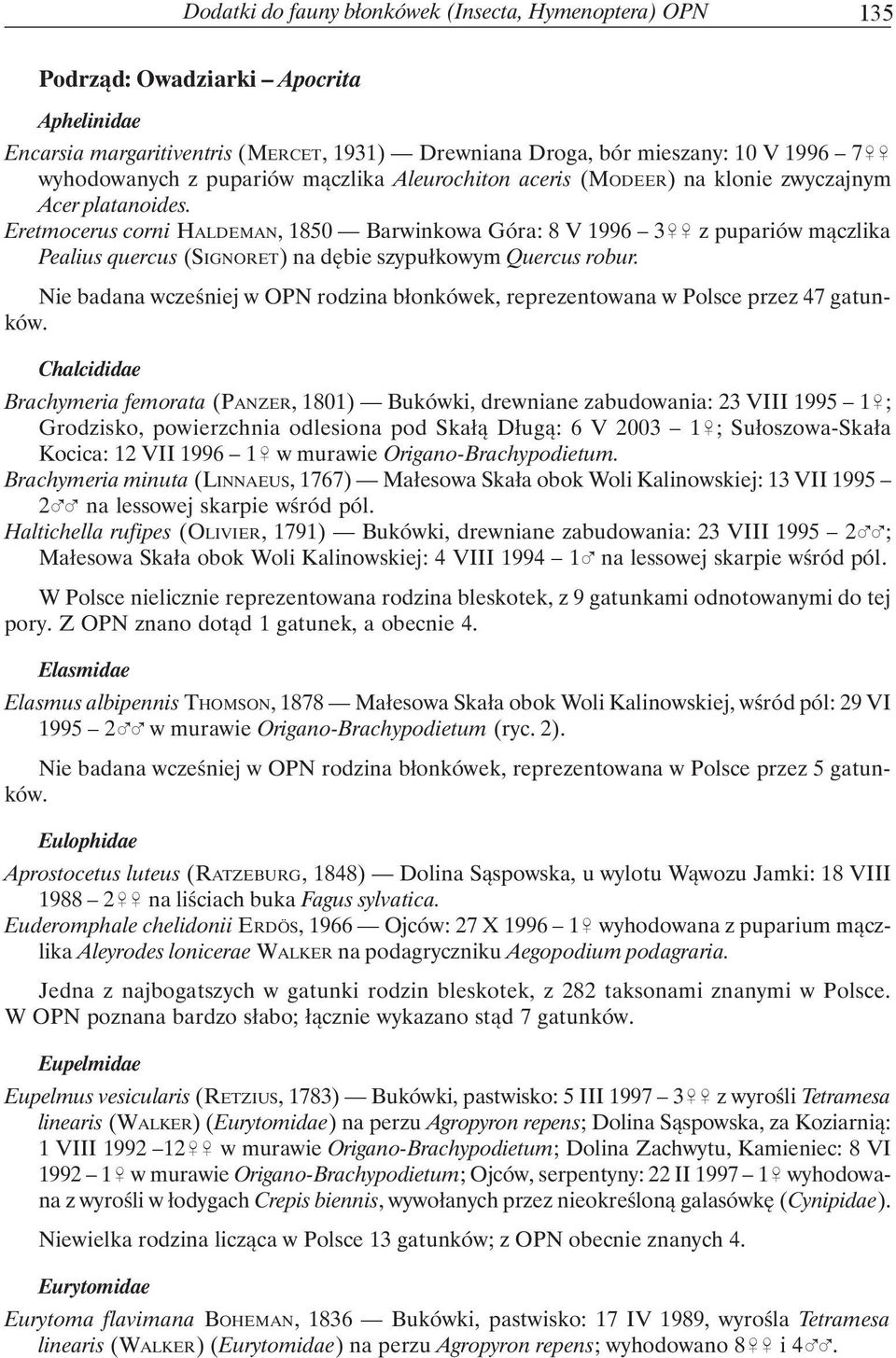 Eretmocerus corni HALDEMAN, 1850 Barwinkowa Góra: 8 V 1996 3&& z pupariów mączlika Pealius quercus (SIGNORET) na dębie szypułkowym Quercus robur.