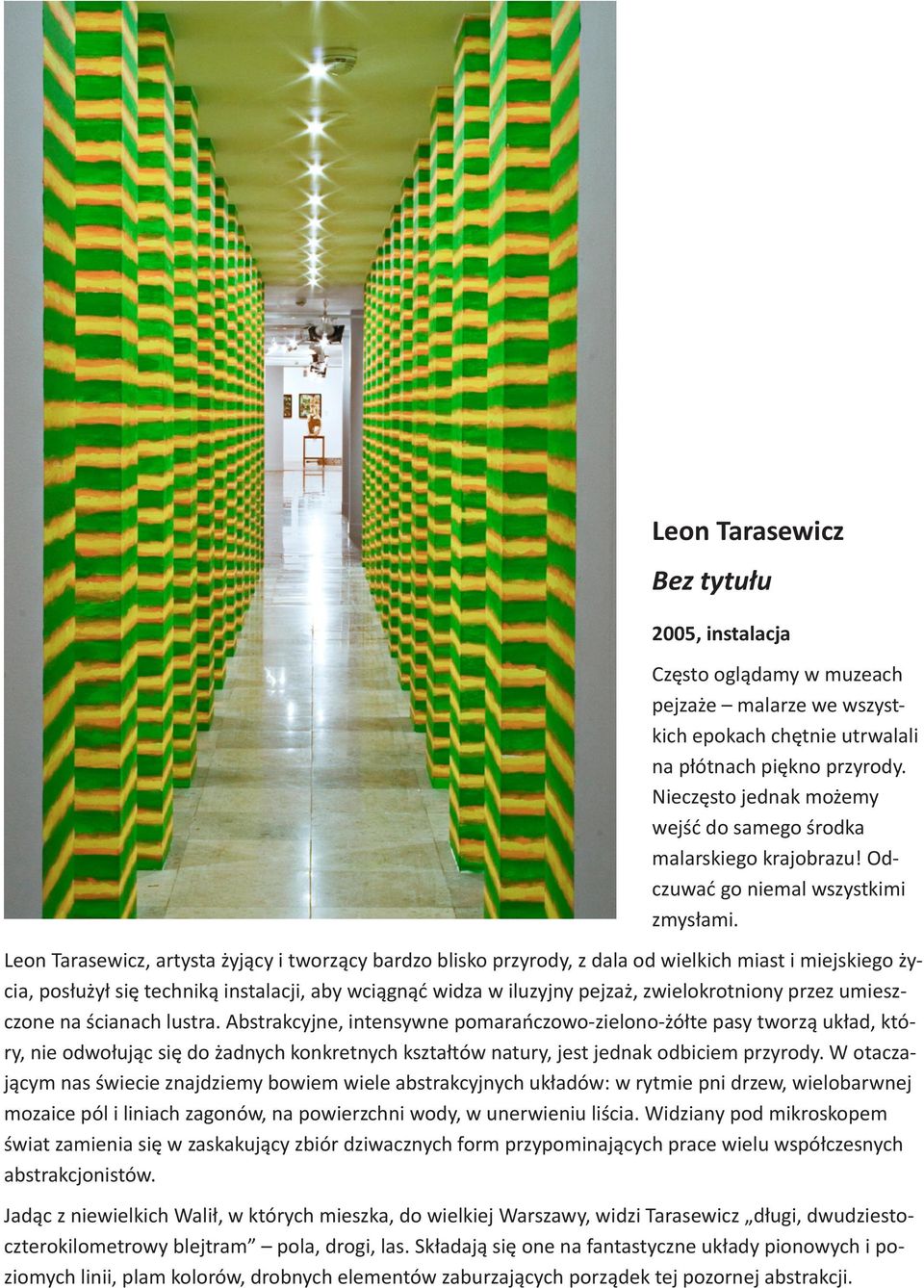 Leon Tarasewicz, artysta żyjący i tworzący bardzo blisko przyrody, z dala od wielkich miast i miejskiego życia, posłużył się techniką instalacji, aby wciągnąć widza w iluzyjny pejzaż, zwielokrotniony