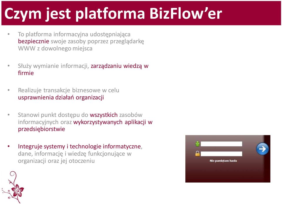 działań organizacji Stanowi punkt dostępu do wszystkich zasobów informacyjnych oraz wykorzystywanych aplikacji w