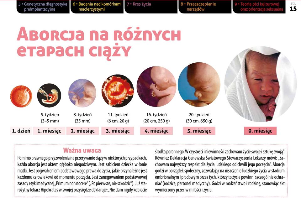 miesiąc Ważna uwaga Pomimo prawnego przyzwolenia na przerywanie ciąży w niektórych przypadkach, każda aborcja jest aktem głęboko niegodziwym. Jest zabiciem dziecka w łonie matki.