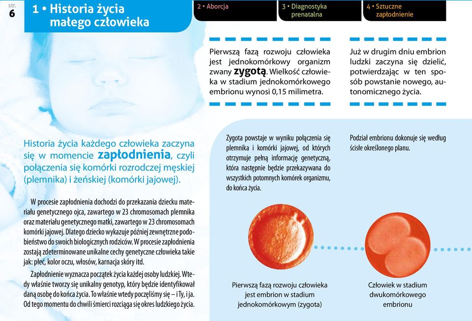 jajowej. Dlatego dziecko wykazuje później zewnętrzne podobieństwo do swoich biologicznych rodziców.