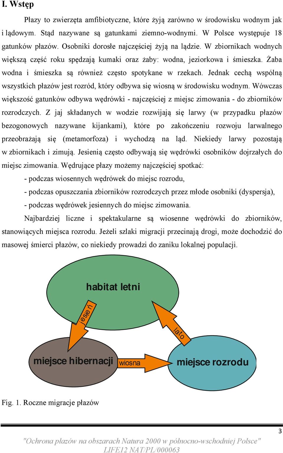 Żaba wodna i śmieszka są również często spotykane w rzekach. Jednak cechą wspólną wszystkich płazów jest rozród, który odbywa się wiosną w środowisku wodnym.