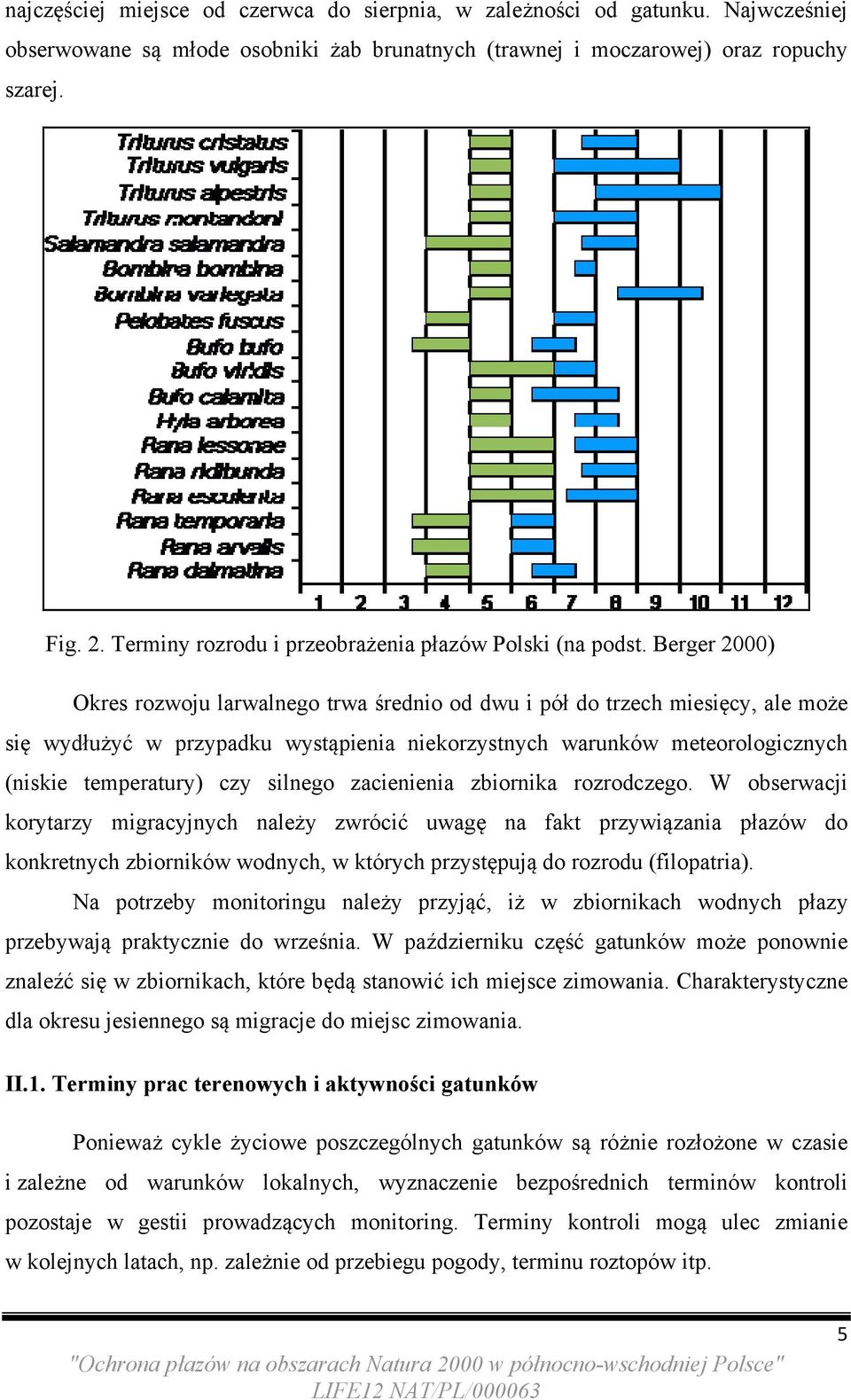 Berger 2000) Okres rozwoju larwalnego trwa średnio od dwu i pół do trzech miesięcy, ale może się wydłużyć w przypadku wystąpienia niekorzystnych warunków meteorologicznych (niskie temperatury) czy